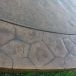 Stamped Concrete Patio